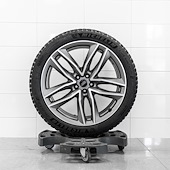 PlatinumCars Vinterhjul 21" Michelin X-ice north 4 suv 295/35R21